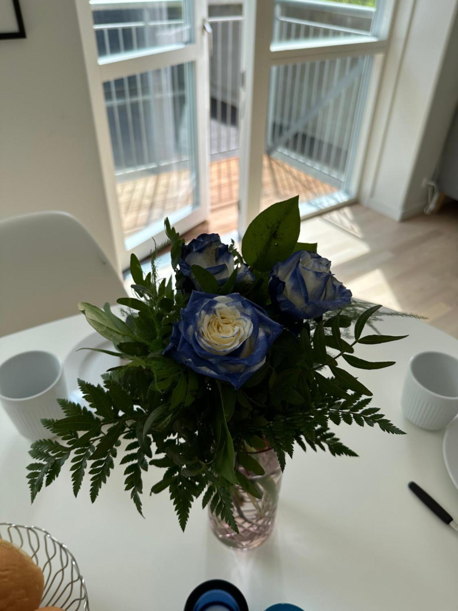 托尔斯港Luxury New Cozy And Quietly 95M2公寓 外观 照片